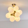 Hyco Ceiling Light matt nickel, 12-light sources