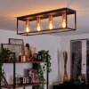 MALAO Ceiling Light Rose gold, black, 4-light sources