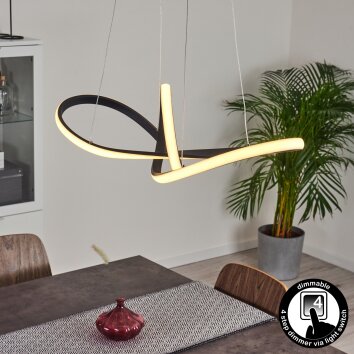Ignal Pendant Light LED black, 1-light source