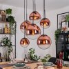 Gastor hanging light, globe light, pendant light clear, coppery, 6-light sources
