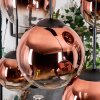 Gastor hanging light, globe light, pendant light clear, coppery, 6-light sources