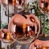 Gastor hanging light, globe light, pendant light clear, coppery, 6-light sources