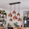 Gastor hanging light, globe light, pendant light clear, coppery, 6-light sources