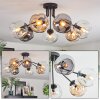 Ripoll ceiling light, globe light Amber, clear, Smoke-coloured, 7-light sources