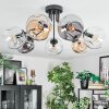 Ripoll ceiling light, globe light Amber, clear, Smoke-coloured, 7-light sources