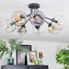 Ripoll ceiling light, globe light Amber, clear, Smoke-coloured, 7-light sources