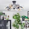 Ripoll ceiling light, globe light Amber, clear, Smoke-coloured, 7-light sources