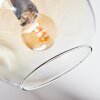 Ripoll ceiling light, globe light Amber, clear, Smoke-coloured, 7-light sources