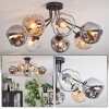 Ripoll ceiling light, globe light Amber, clear, Smoke-coloured, 7-light sources
