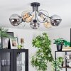 Ripoll ceiling light, globe light Amber, clear, Smoke-coloured, 7-light sources