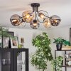 Ripoll ceiling light, globe light Amber, clear, Smoke-coloured, 7-light sources