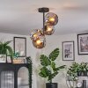 Ripoll ceiling light, globe light Smoke-coloured, 4-light sources