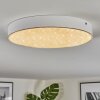 Elmar ceiling light, Panel LED white, 1-light source