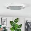Elmar ceiling light, Panel LED white, 1-light source