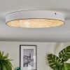 Elmar ceiling light, Panel LED white, 1-light source