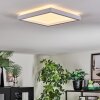Xarel ceiling light, Panel LED white, 1-light source