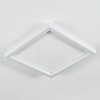 Xarel ceiling light, Panel LED white, 1-light source