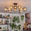 Ripoll ceiling light, globe light Amber, clear, Smoke-coloured, 10-light sources