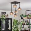 Koyoto ceiling light, globe light clear, Smoke-coloured, 5-light sources