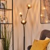 Koyoto globe light, floor lamp Amber, clear, Smoke-coloured, 3-light sources