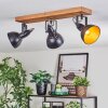 Hagan ceiling light, ceiling spotlight Ecru, black, 3-light sources