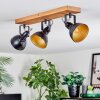 Hagan ceiling light, ceiling spotlight Ecru, black, 3-light sources