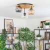 Ripoll ceiling light, globe light Ecru, black, 3-light sources