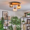 Ripoll ceiling light, globe light Ecru, black, 3-light sources