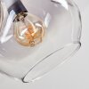 Ripoll ceiling light, globe light clear, Smoke-coloured, 5-light sources