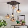 Ripoll ceiling light, globe light Amber, clear, Smoke-coloured, 5-light sources