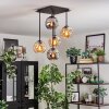 Ripoll ceiling light, globe light Amber, Smoke-coloured, 5-light sources