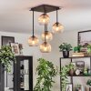 Koyoto ceiling light, globe light Amber, clear, 5-light sources