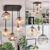Koyoto ceiling light, globe light Amber, clear, Smoke-coloured, 5-light sources