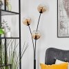 Koyoto globe light, floor lamp Amber, clear, 3-light sources