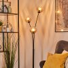Koyoto globe light, floor lamp Amber, clear, 3-light sources