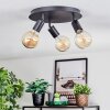 Geira ceiling light, ceiling spotlight black, 3-light sources