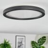 Xarel ceiling light, Panel LED black, 1-light source