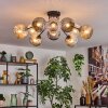 Ripoll ceiling light, globe light Amber, clear, Smoke-coloured, 10-light sources
