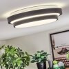 Orvan ceiling light, Panel LED black, white, 1-light source