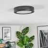 Isela ceiling light, Panel LED black, 1-light source