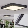 Isela ceiling light, Panel LED black, 1-light source