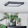 Isela ceiling light, Panel LED black, 1-light source
