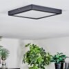 Isela ceiling light, Panel LED black, 1-light source