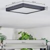 Isela ceiling light, Panel LED black, 1-light source