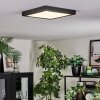 Isela ceiling light, Panel LED black, 1-light source