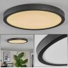 Isela ceiling light, Panel LED black, 1-light source