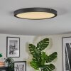 Isela ceiling light, Panel LED black, 1-light source