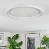 Xarel ceiling light, Panel LED white, 1-light source
