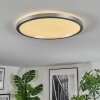 Xarel ceiling light, Panel LED silver, 1-light source