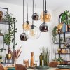 Koyoto hanging light, globe light, pendant light Amber, chrome, clear, Smoke-coloured, 6-light sources